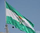 Real Betis bayrağı